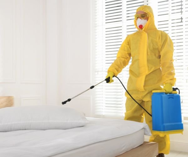 Bettwanzen bekämpfen – professionelle Behandlung von Bett und Matratze