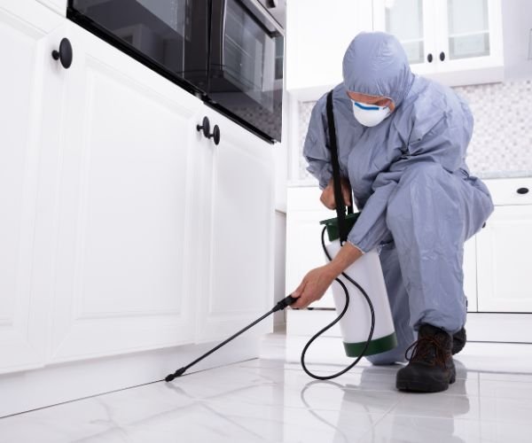 Schädlingsbekämpfer behandelt die Küche – weitere Schädlinge